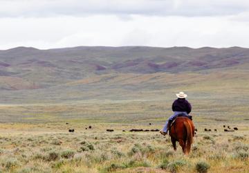 Montana