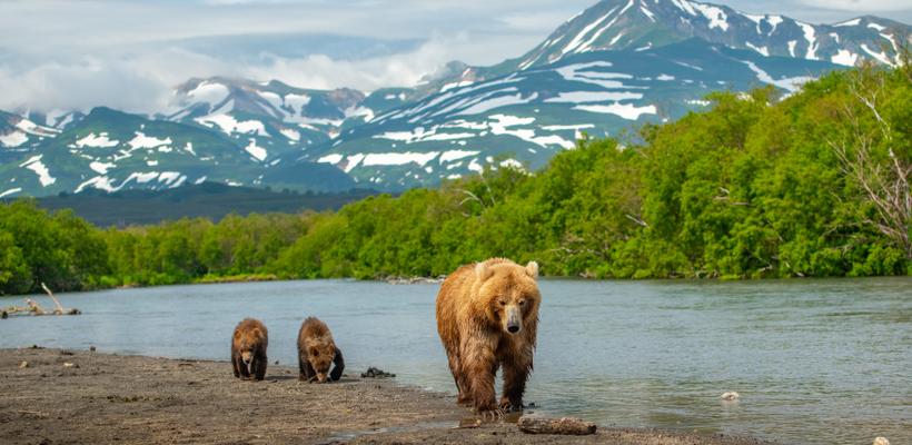 堪察加半岛：人生的主要旅程